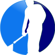 Palmetto Power Washing Service