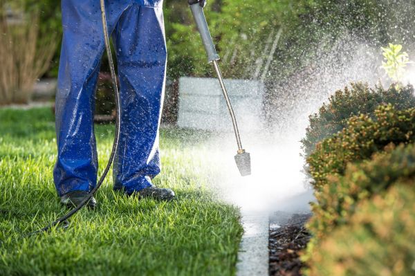 Curb Cleaning in Palmetto