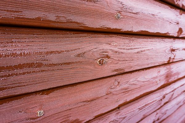 Cedar Siding Cleaning in Palmetto