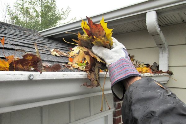 Eaves Cleaning in Palmetto