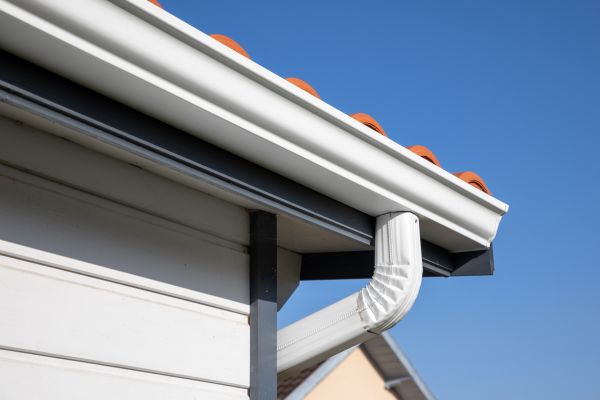 Roofline Cleaning in Palmetto