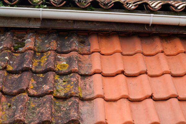 Industrial Roof Cleaning in Palmetto