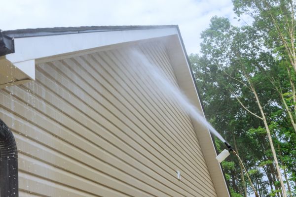 Siding Cleaning Service in Palmetto