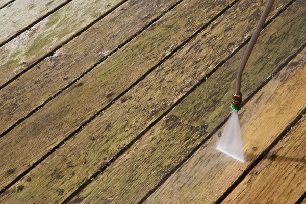 Deck Mold Removal in Palmetto