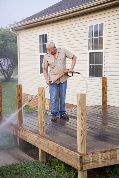 Deck Mold Cleaning in Palmetto